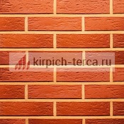 Кирпич керамический пустотелый Terca® RED риф 250*85*65
