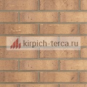 Кирпич керамический Terca® ROXEN пустотелый 250*85*65