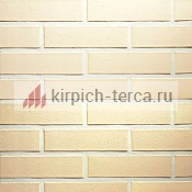 Кирпич керамический пустотелый Terca® KUURA гладкий 250*85*65
